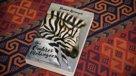 Nos ombres Mélangées Damien Kiernozek